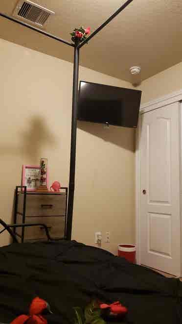 Female Tenants Only