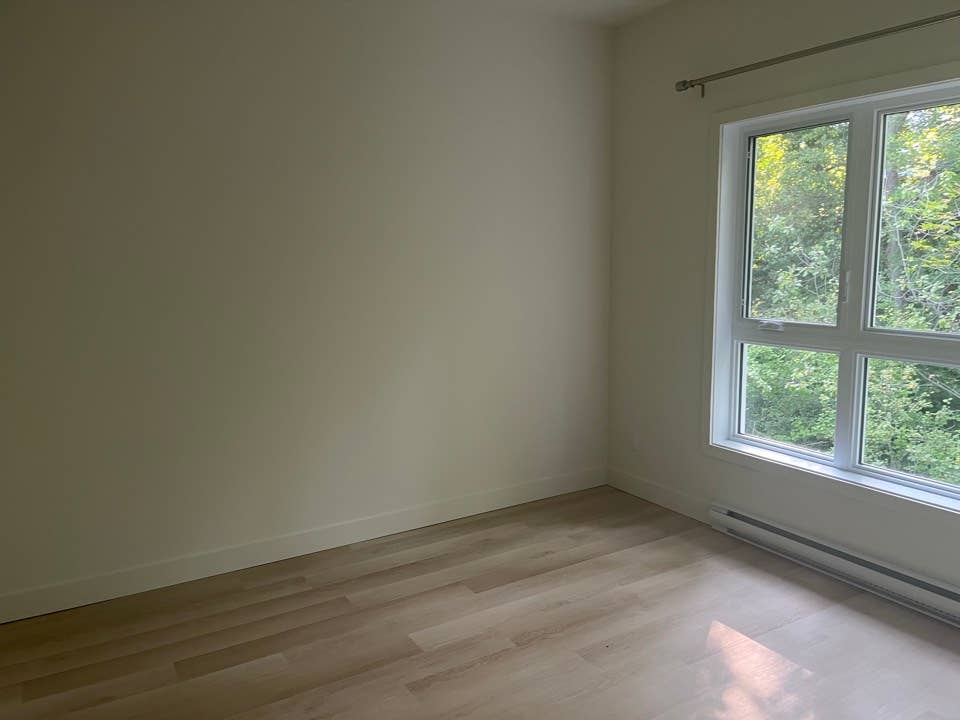 📢 CHAMBRE À LOUER - WINDSOR