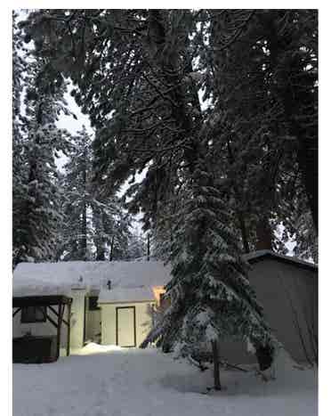 Shared house