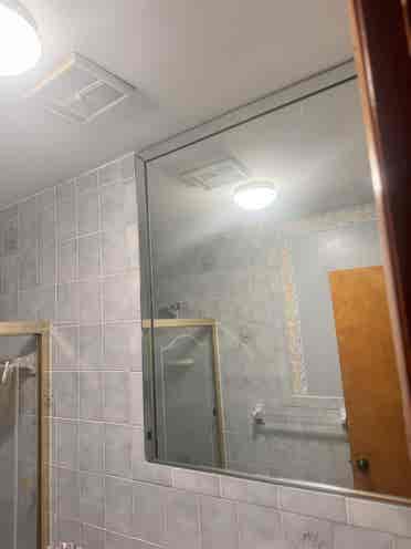 Roommate needed-