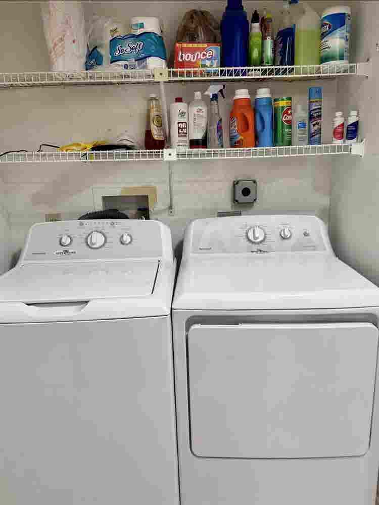 Roommate needed-