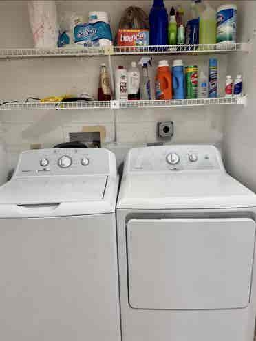 Roommate needed-