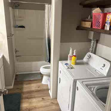 Roommate needed ASAP