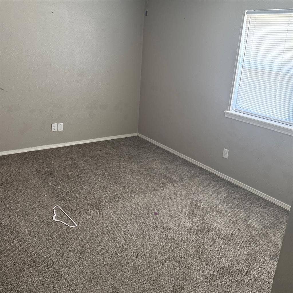 Roommate needed ASAP