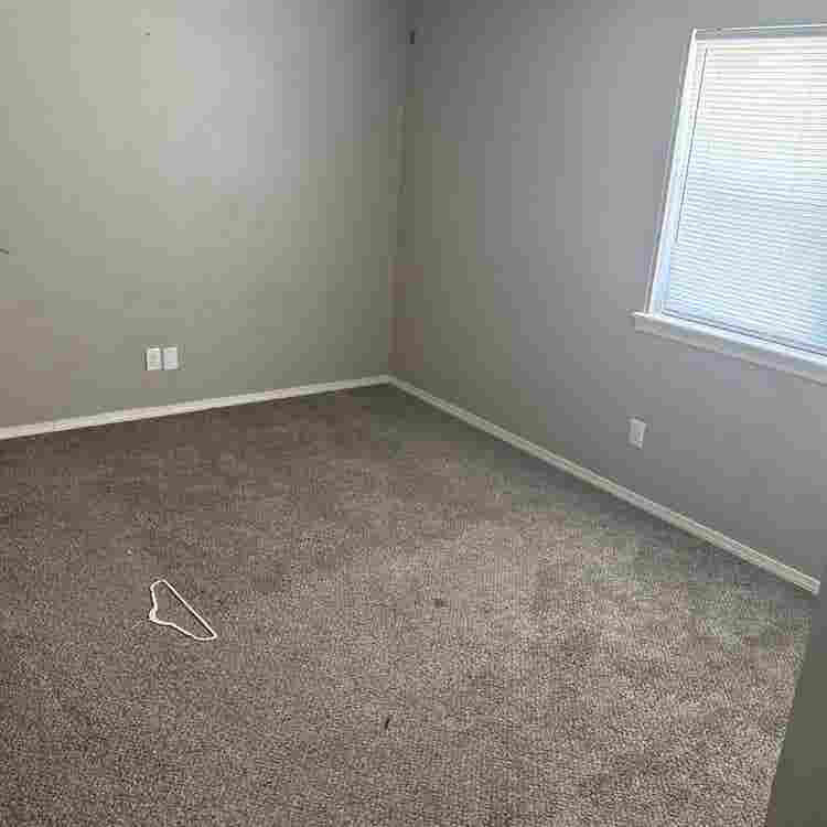 Roommate needed ASAP