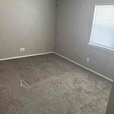 Roommate needed ASAP