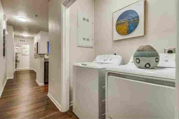 Need a sublet for my apartment