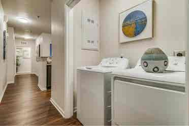 Need a sublet for my apartment