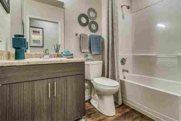 Need a sublet for my apartment