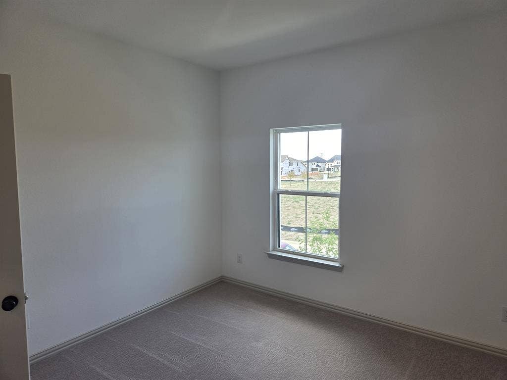Room available late August