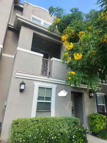 Looking for female roommate