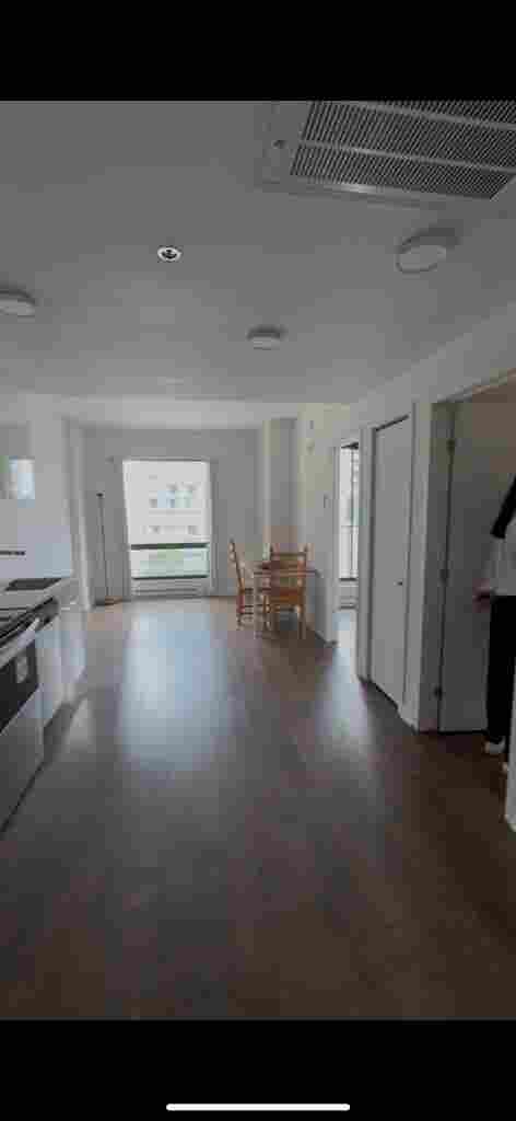 looking for roommate