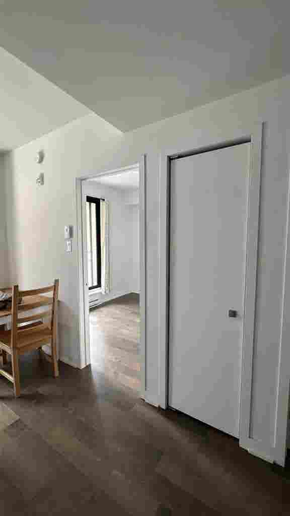 looking for roommate