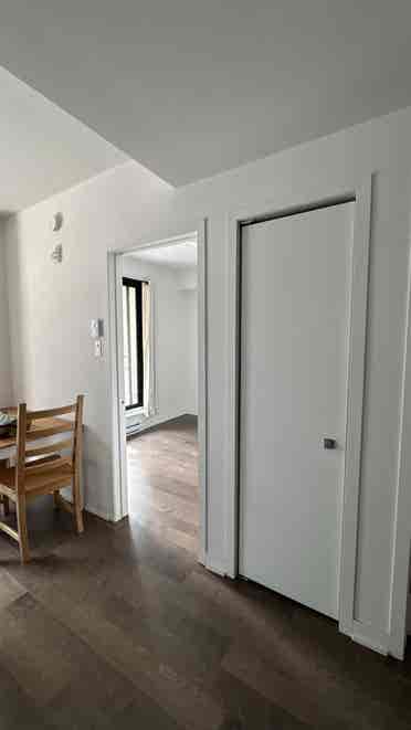 looking for roommate
