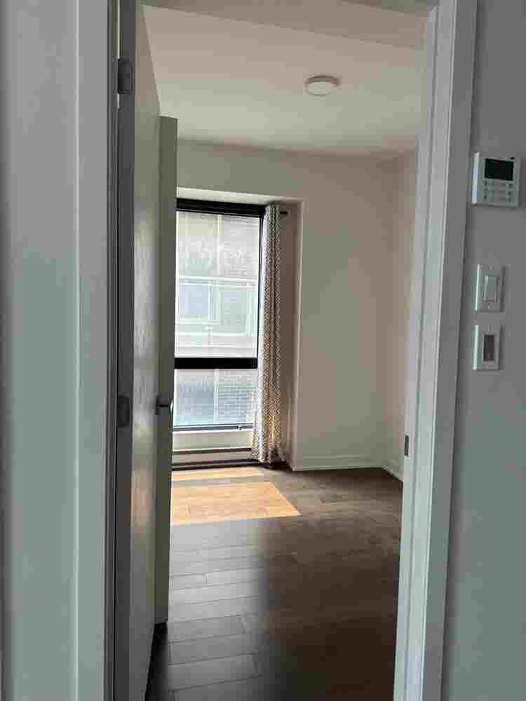 looking for roommate