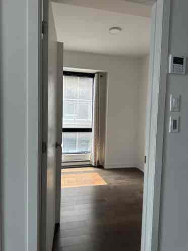 looking for roommate