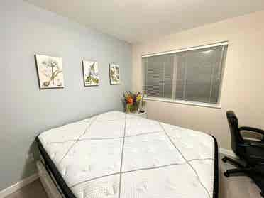bedrooms for rent