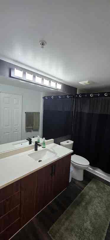 Looking for a Male Roommate