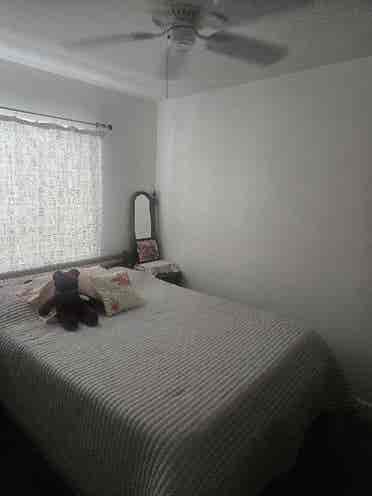 Room for rent