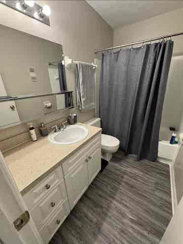 Sublet 
needed!