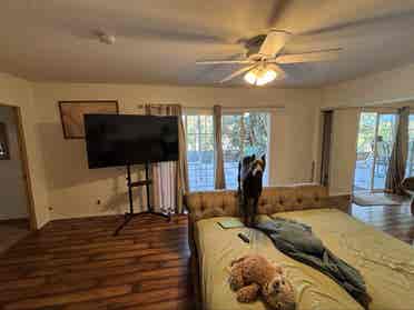 Room for rent