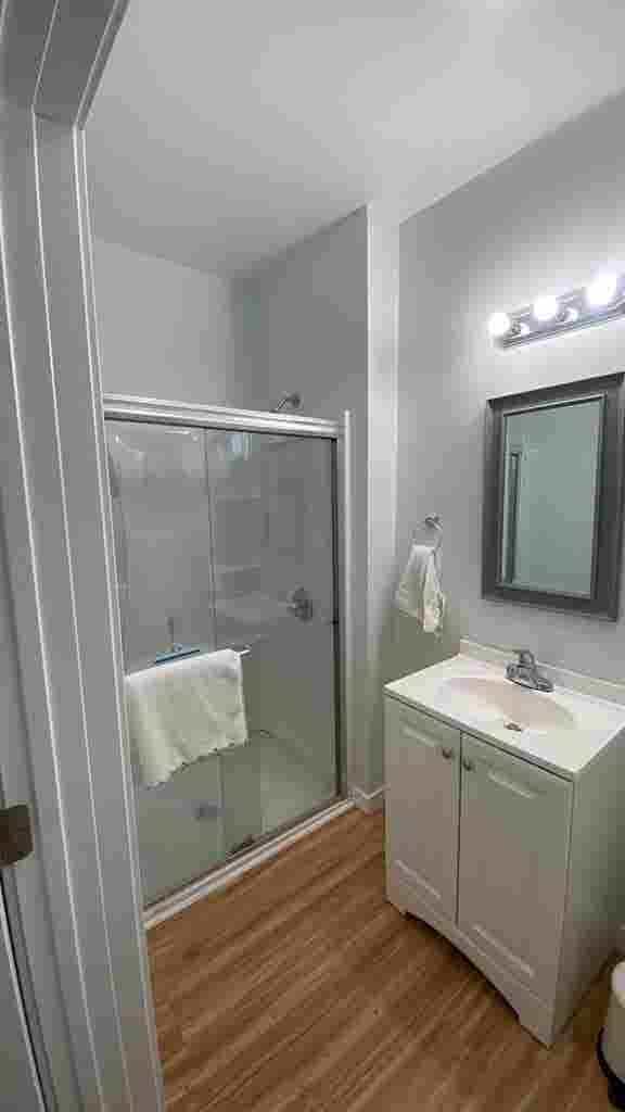 Room and 2 studios available 