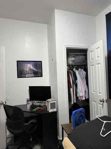 Looking for a roommate
