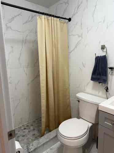 Looking for a roommate