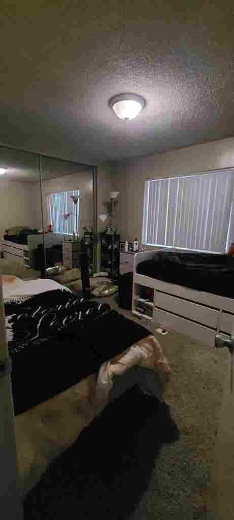 Shared room