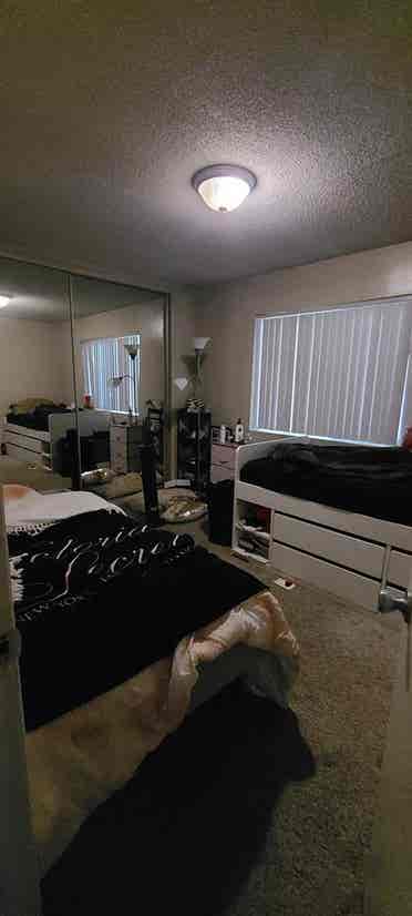 Shared room
