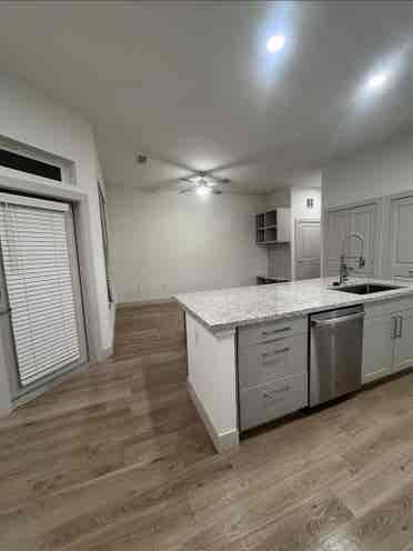 Spacious/Modern Apartment-RoundRock