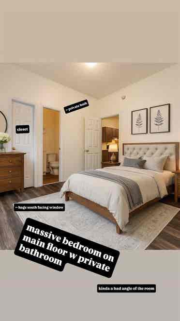 Awesome Clean Roomies