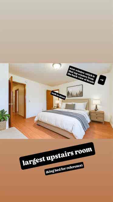 Awesome Clean Roomies