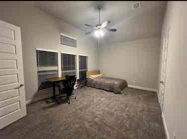 Master bed available for rent