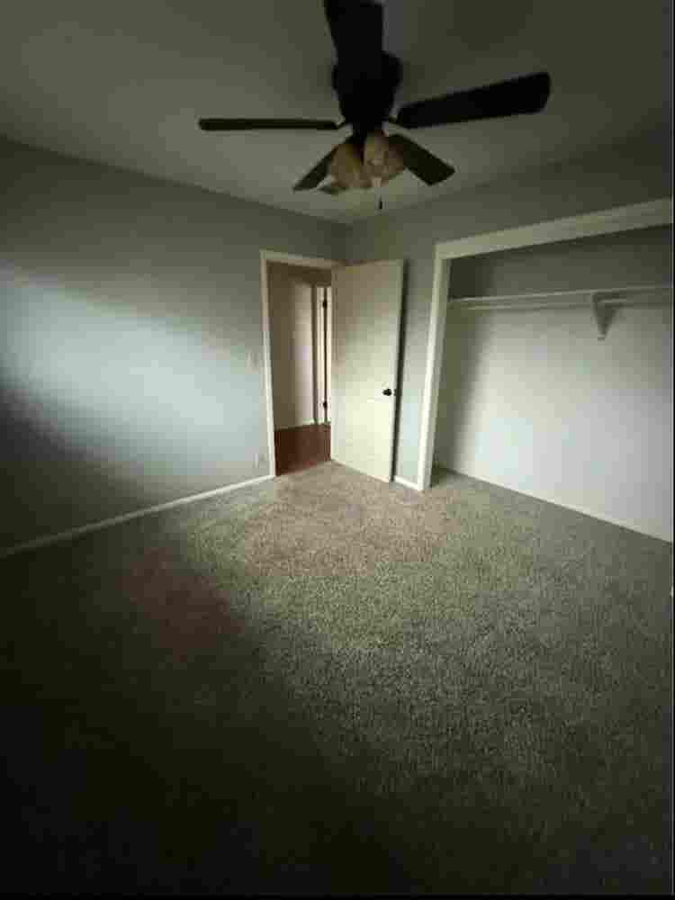 Looking for a roommate
