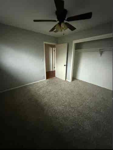 Looking for a roommate