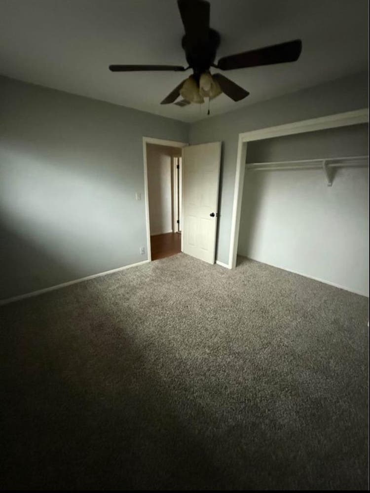 Looking for a roommate