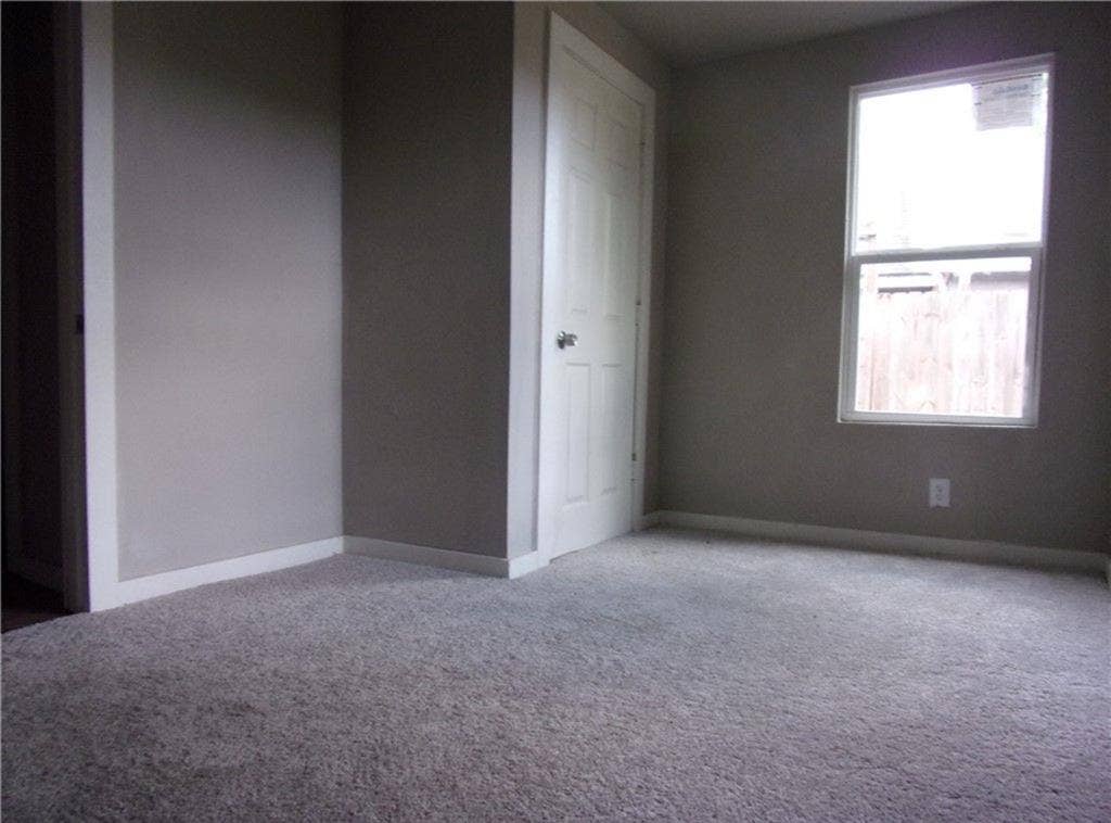 Looking for a roommate