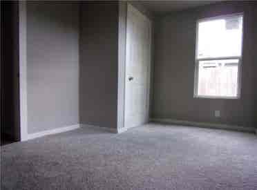 Looking for a roommate