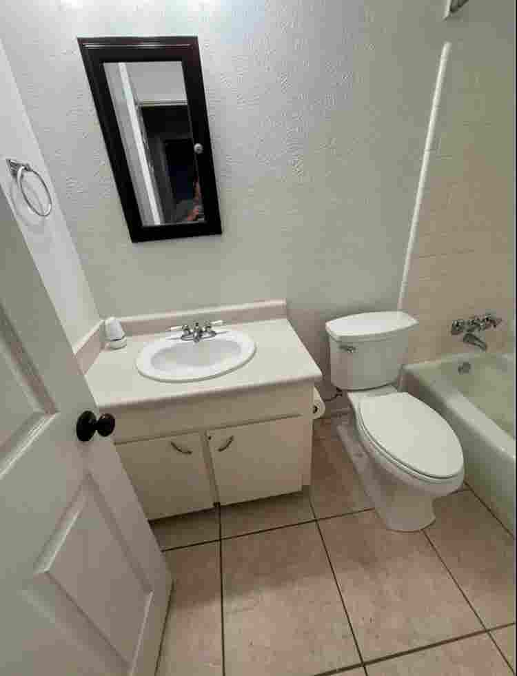 Looking for a roommate