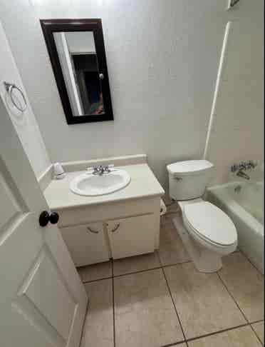 Looking for a roommate