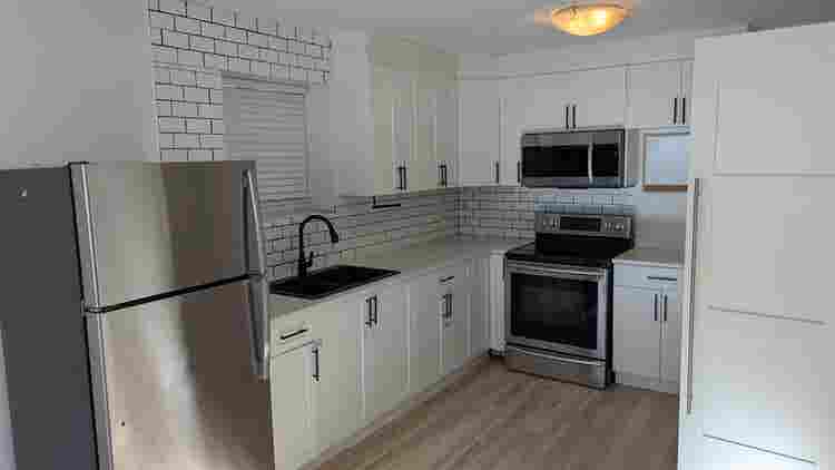 1 BEDROOM BASEMENT SUITE FOR RENT