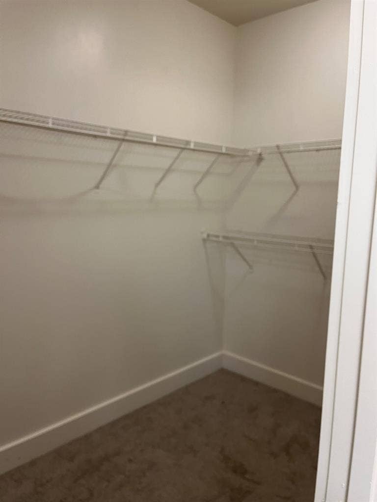 Immediate roommate near jax beach.