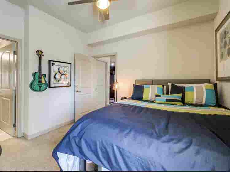 Private room and bathroom for rent