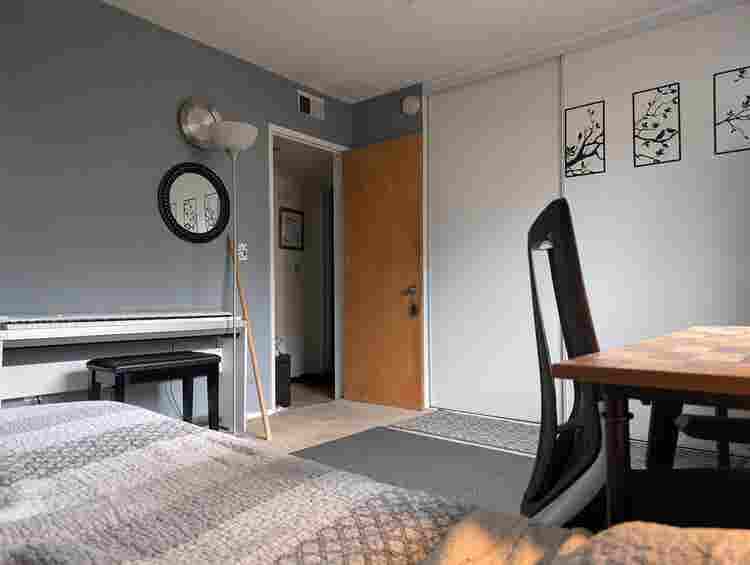 One room for rent