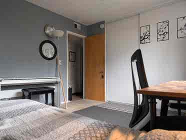 One room for rent