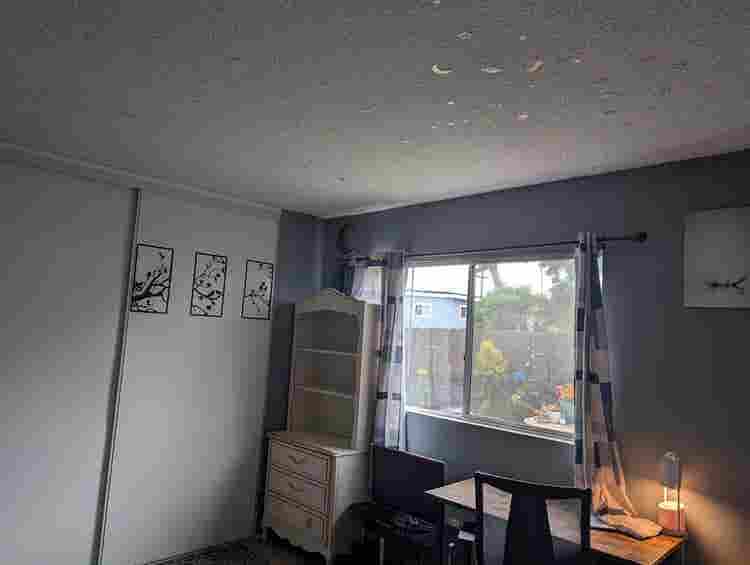 One room for rent