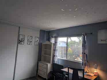 One room for rent