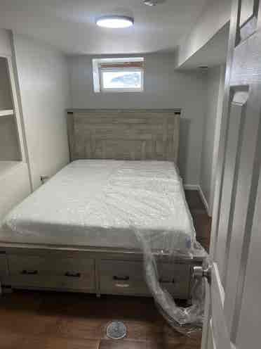 Private Basement w/Shower furnished