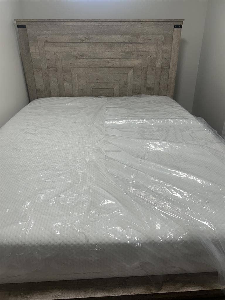 Private Basement w/Shower furnished